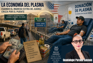 Economía del plasma
